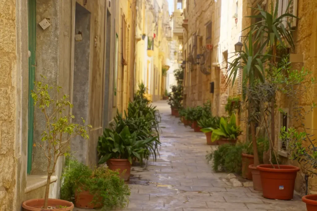 Narrow residential street in Rabat, Malta, lined with traditional limestone houses, green wooden doors, balconies, and potted plants along a sunlit stone-paved alley.