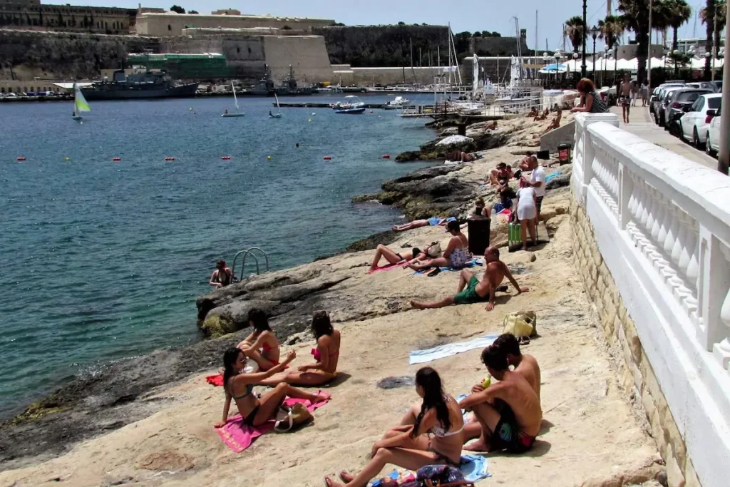 Swimming from the rocky coastline in Ta’ Xbiex near Gżira